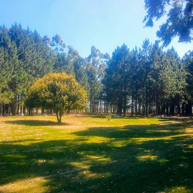 Churrasqueiras a céu aberto